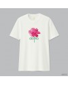 Dotilo Rose