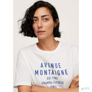 AVENUE MONTAIGNE